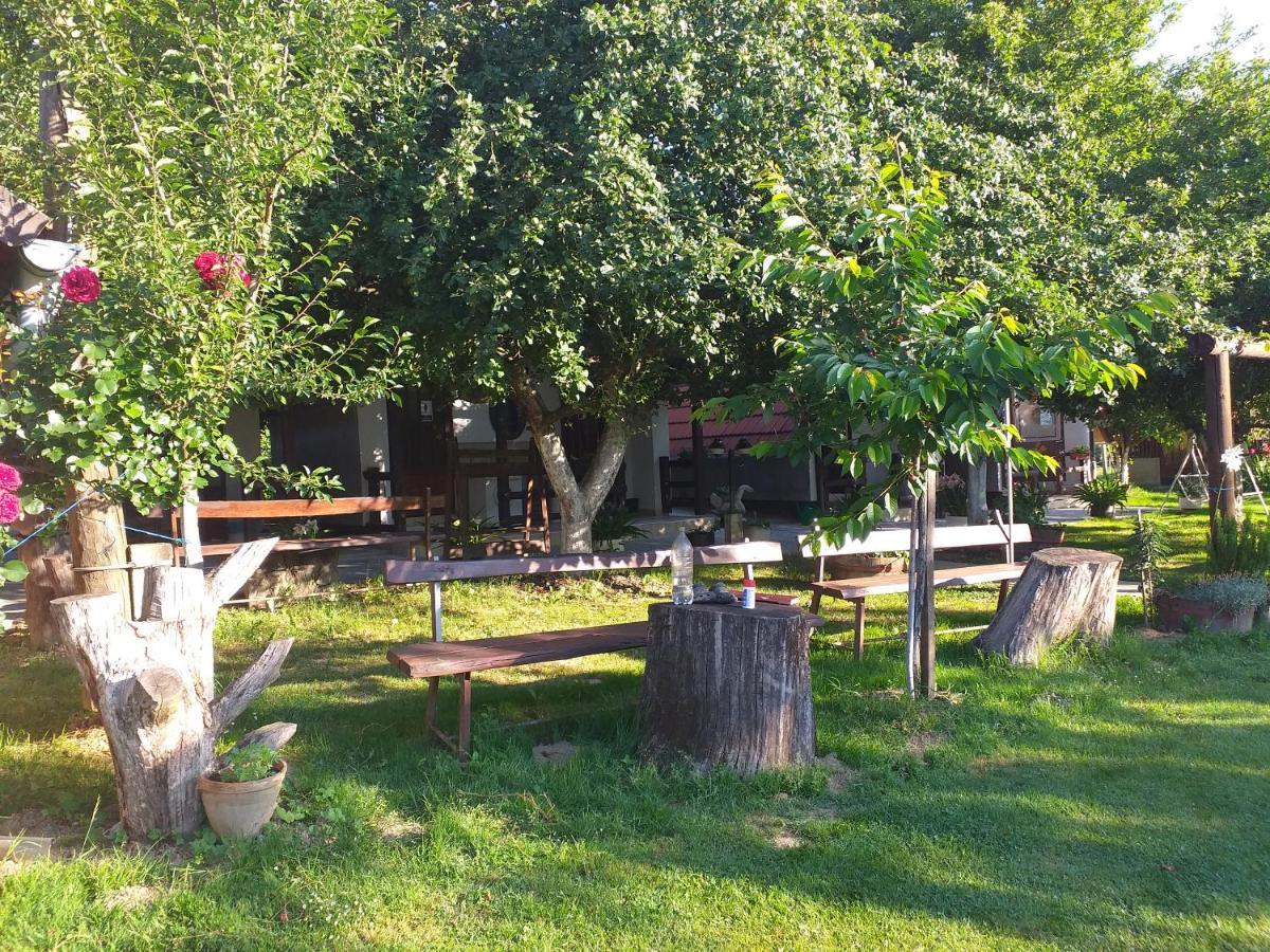 Camping Lukac Kutina Ngoại thất bức ảnh